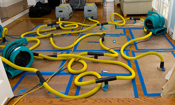 Professional Water Damage Repair technician working in Quincy, MI