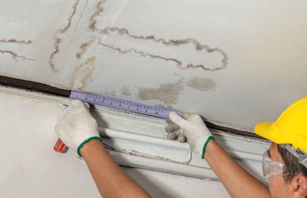 Affordable Water Damage Repair solutions in Quincy, MI